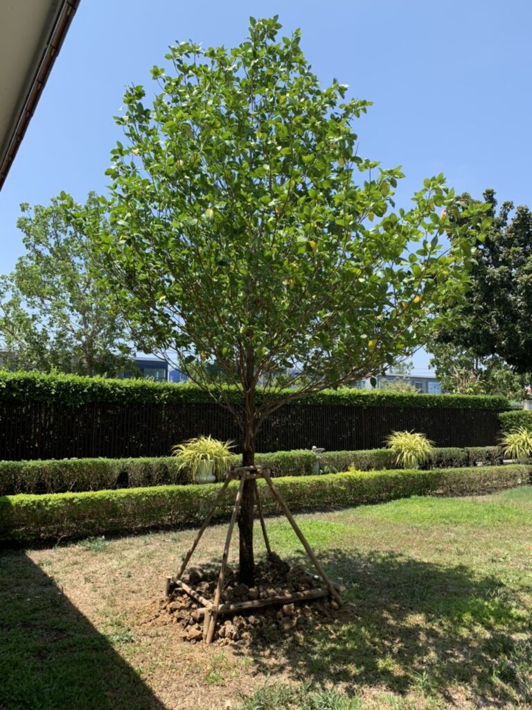 line_oa_chat_200422_093959